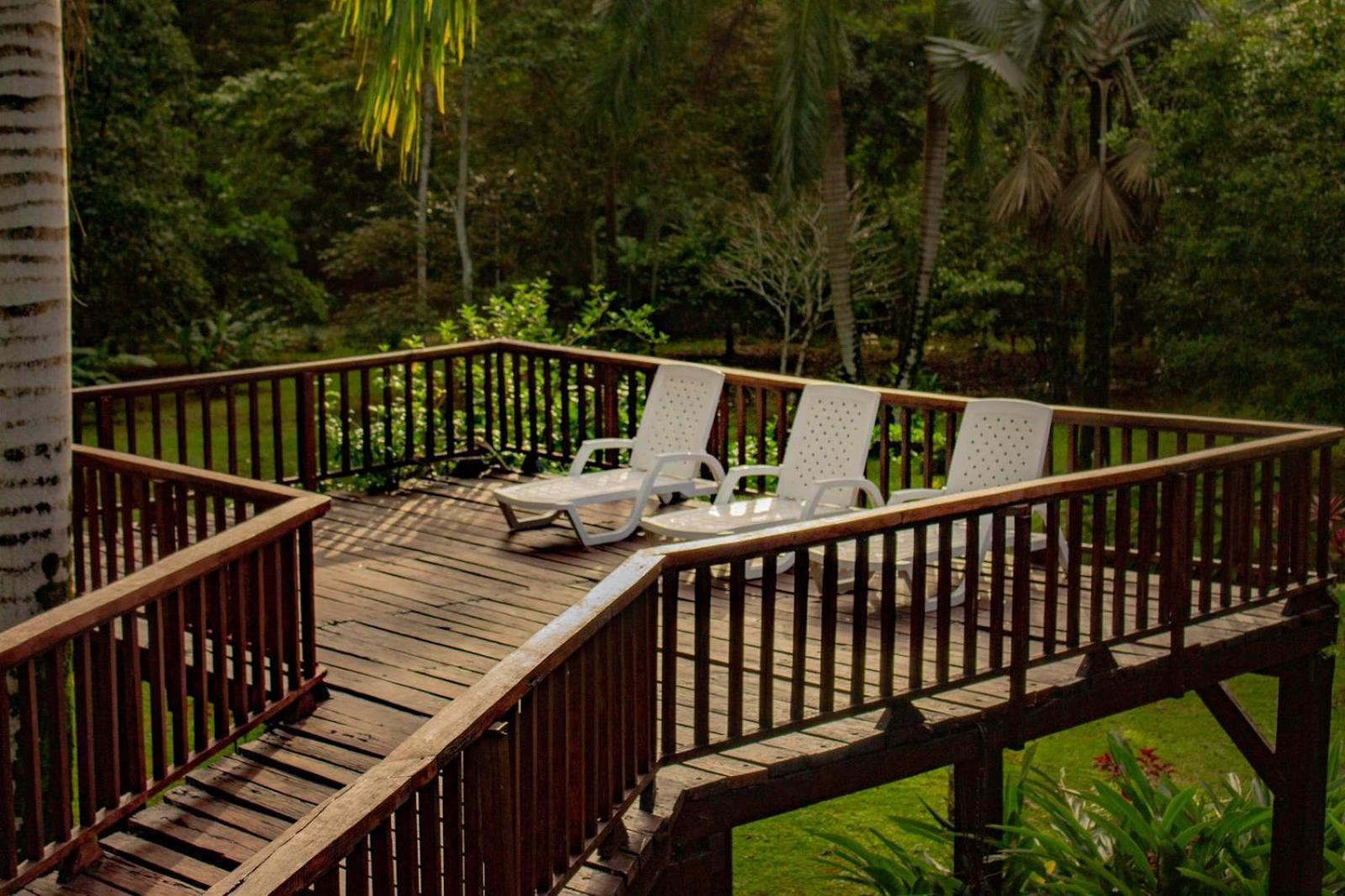 Casa Heliconia - Spacious, Big Garden, Close To The Beach Puerto Viejo de Talamanca Zewnętrze zdjęcie